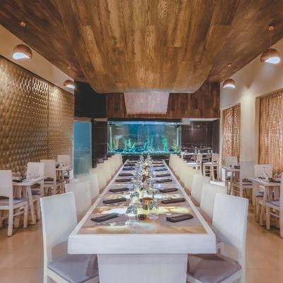 Suki Desire Riviera Maya Resort Puerto Morelos Suki Desire Riviera Maya Resort Puerto Morelos